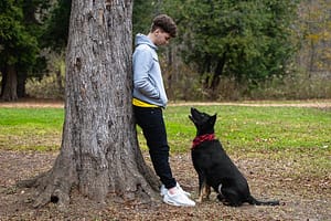 Burlington pet photographer.