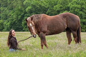 horse and rider portrait session