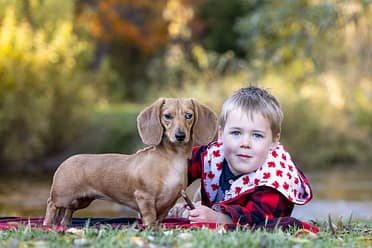 dog and family photoshoot in Lowville Park