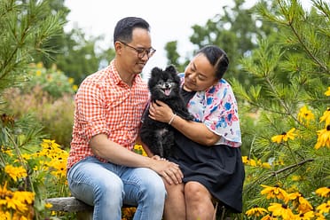 end of life pet photography end of life photography in Hamilton, ON