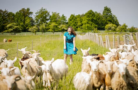 female with sheeps and lambs farm photography Norfolk County