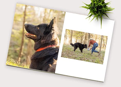 photo album dog photo album