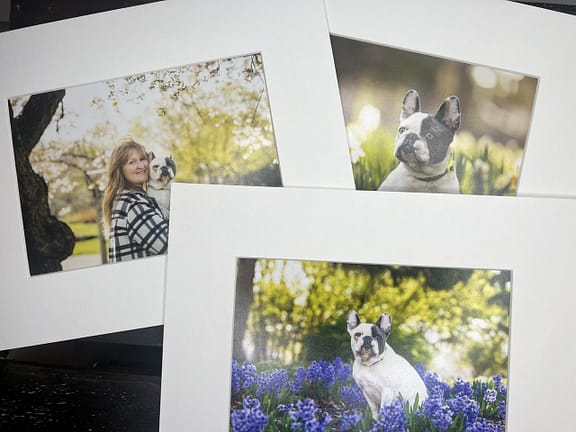 matted prints of dog photography Canovas Photography