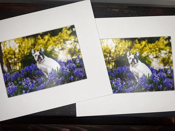 matted prints from Canovas Photography