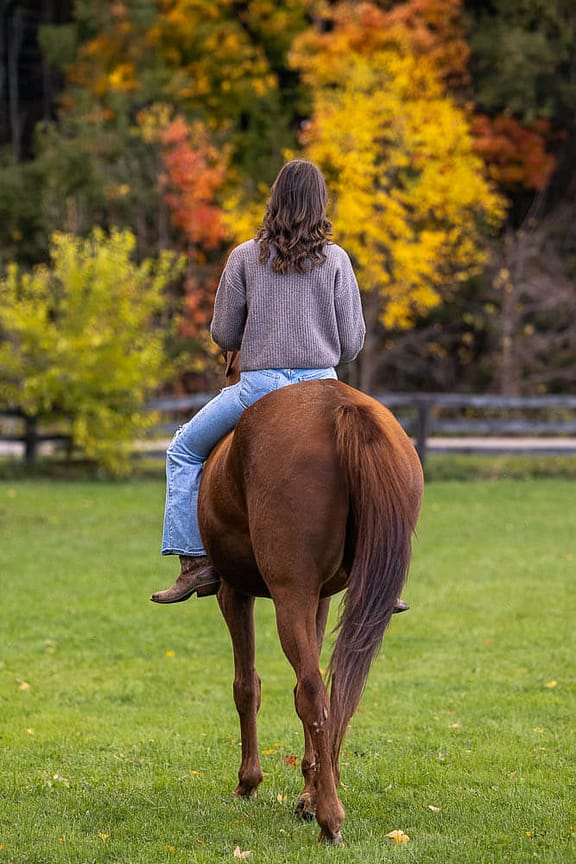 outdoor equine photoshoot during the fall