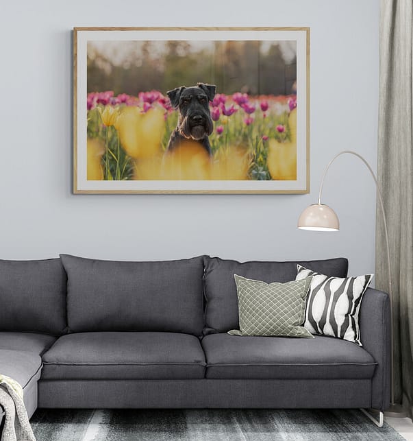 living-room-with-corner-sofa-and-lamp