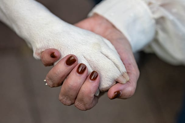 family pet photos