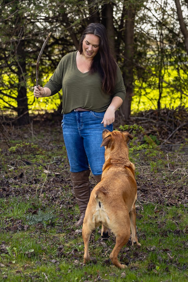 the bark dog treat