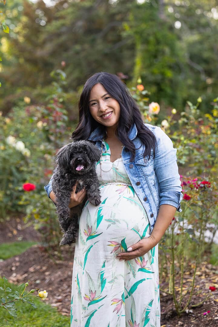 gairloch gardens photography maternity dog photoshoot in Oakville, Ontario