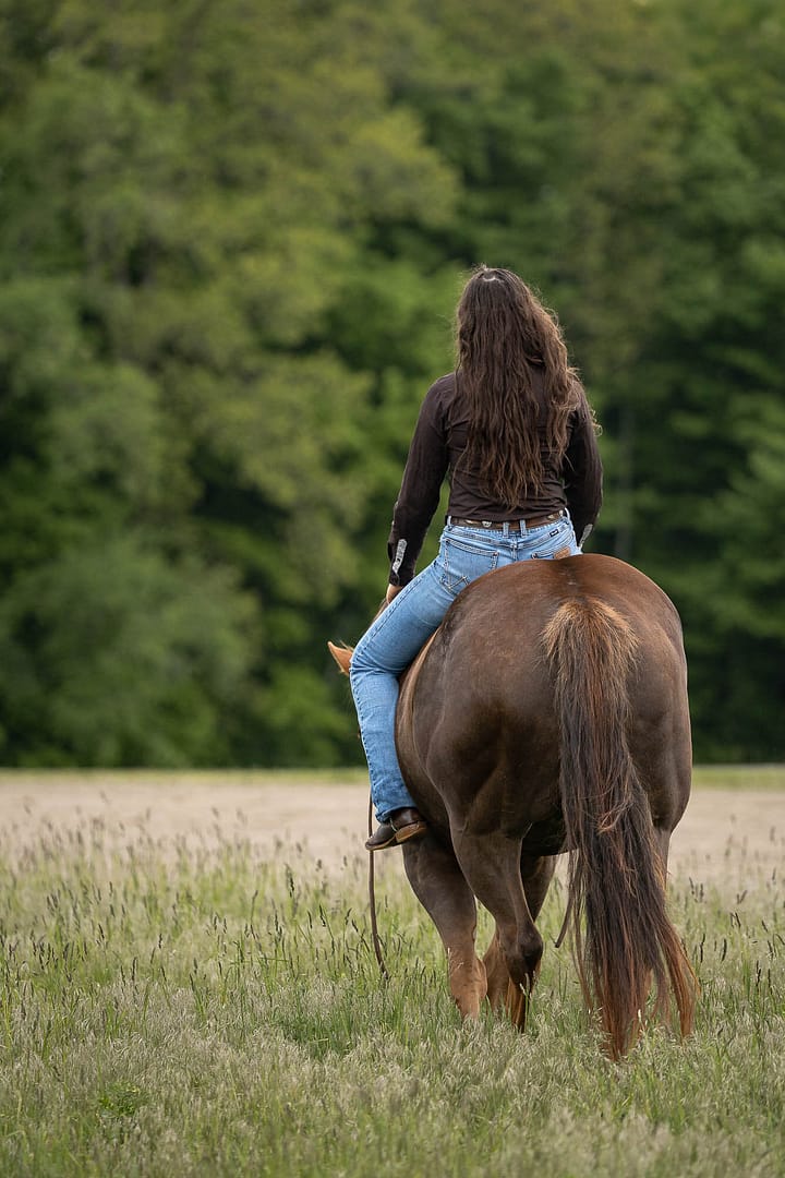 ontario horse photographer