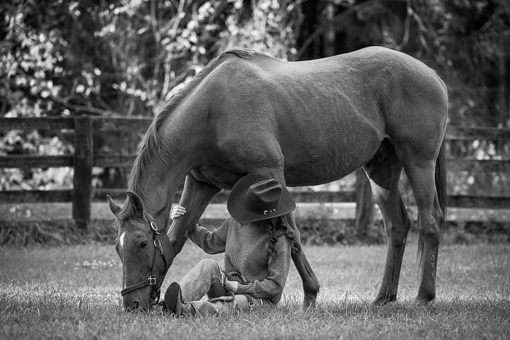 outdoor horse photo session