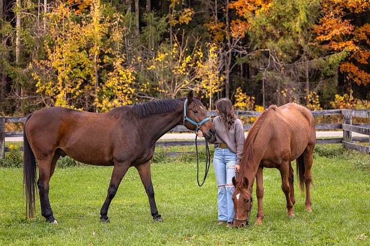 horse fall photoshoot at blue heron equestrian
