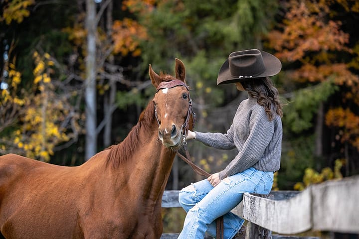 fall horse photoshoot in Troy, Ontario