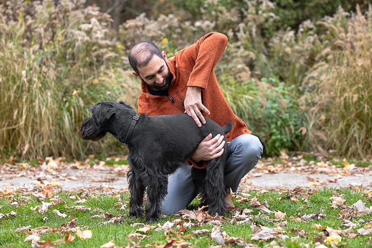 professional pet photography for an animal chiropractor.