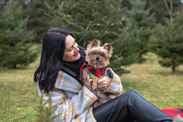 Christmas Tree Farm pet and family mini sessions