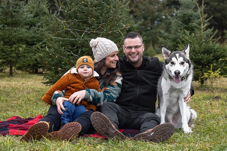 family and dog christmas mini session 