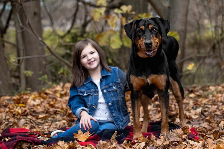 dog photography of a senior dog in Burlington, Ontario