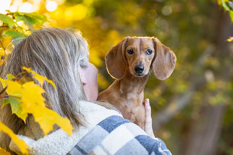 dog and family photoshoot in Lowville Park
