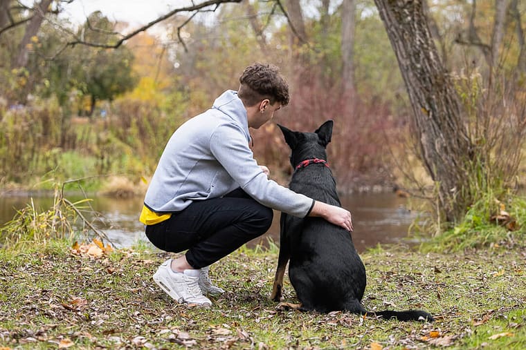 dog photo in Lowville Park