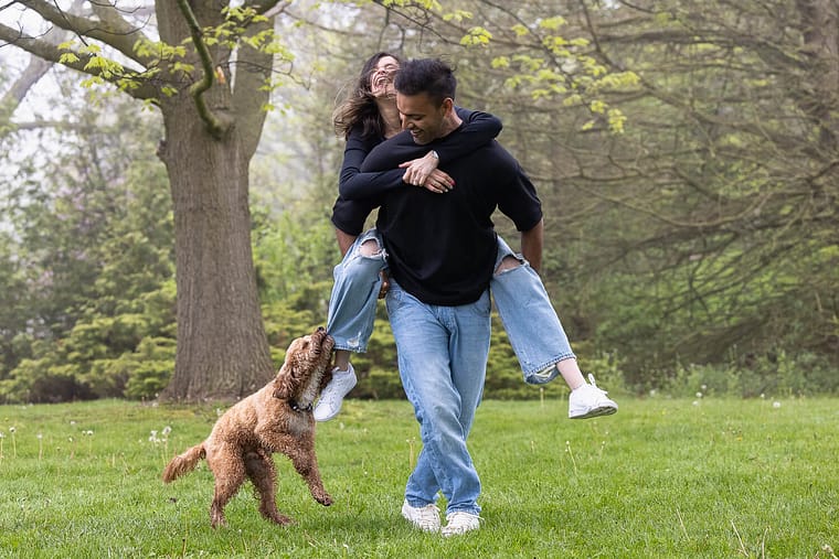a candid moment in a dog photo shoot.