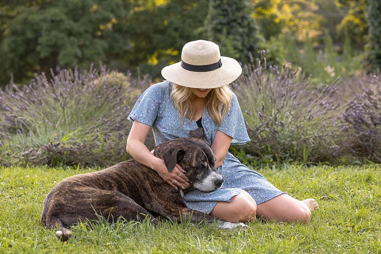 a dog laying on a human lap at a All Who Wander Flower Farm