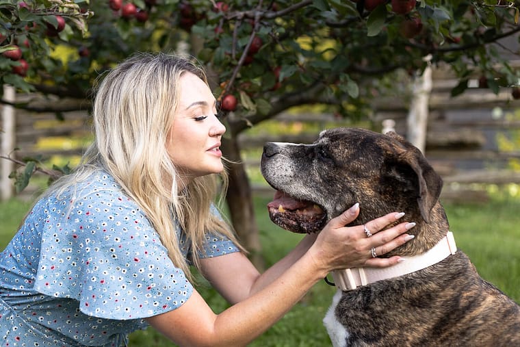 end of life pet photography session at all who wander flower farm.