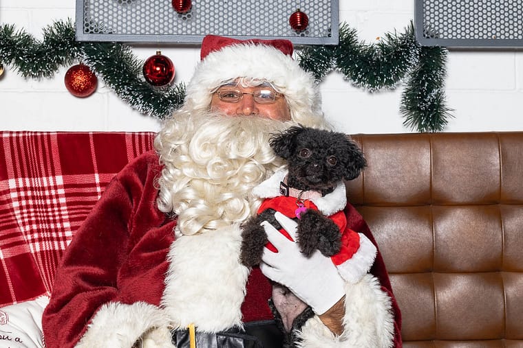 pet photos with Santa
