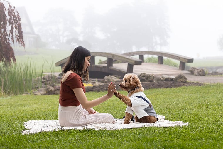 family and dog photoshoot at Gairloch gardens.