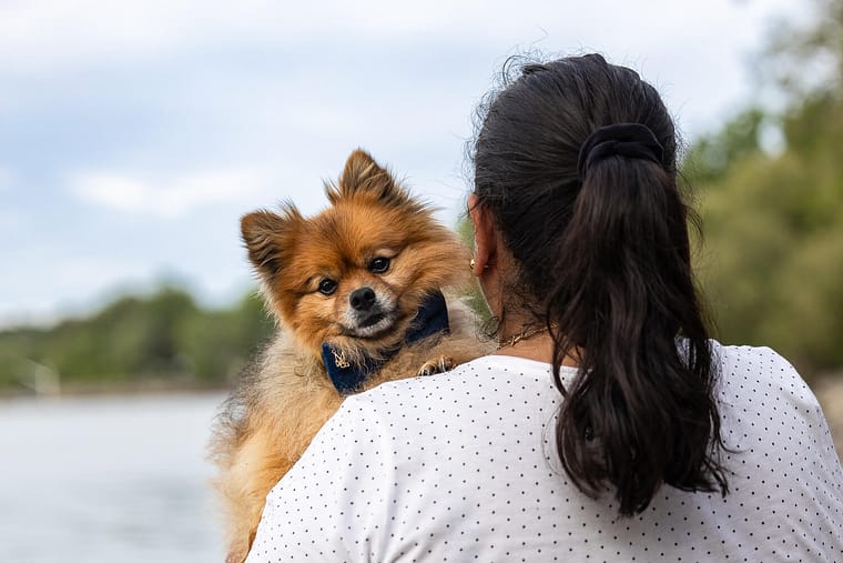 dog photoshoot with owner in Mississauga.