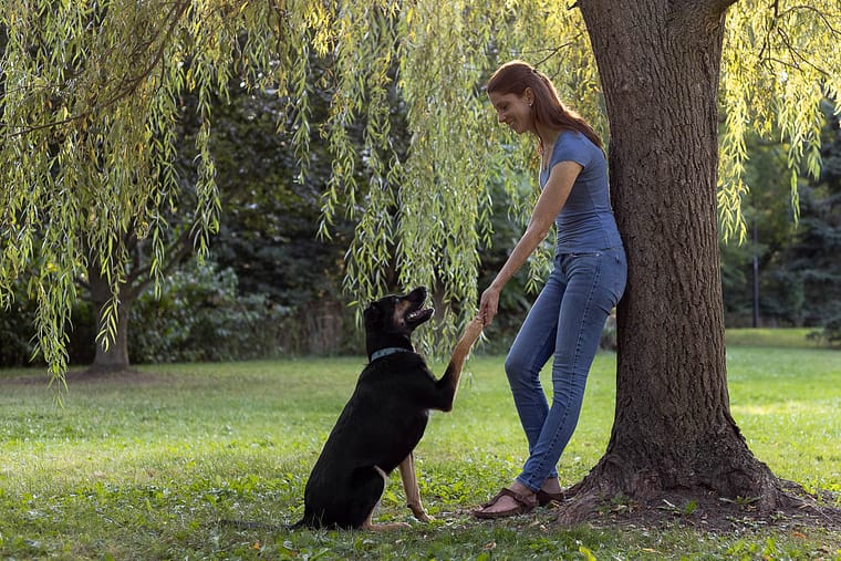 pet family photo taken in Mississauga.