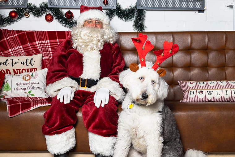 pet photos with Santa