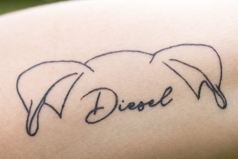 a tribute to a dog