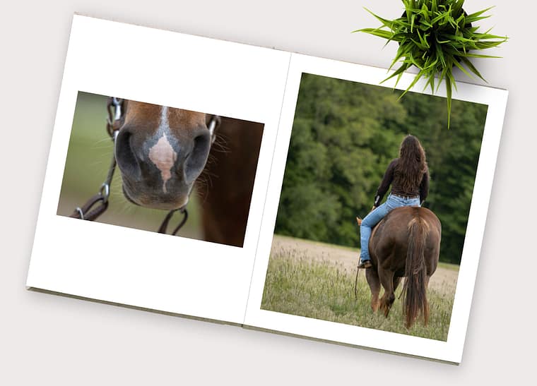photo album from an equine photoshoot