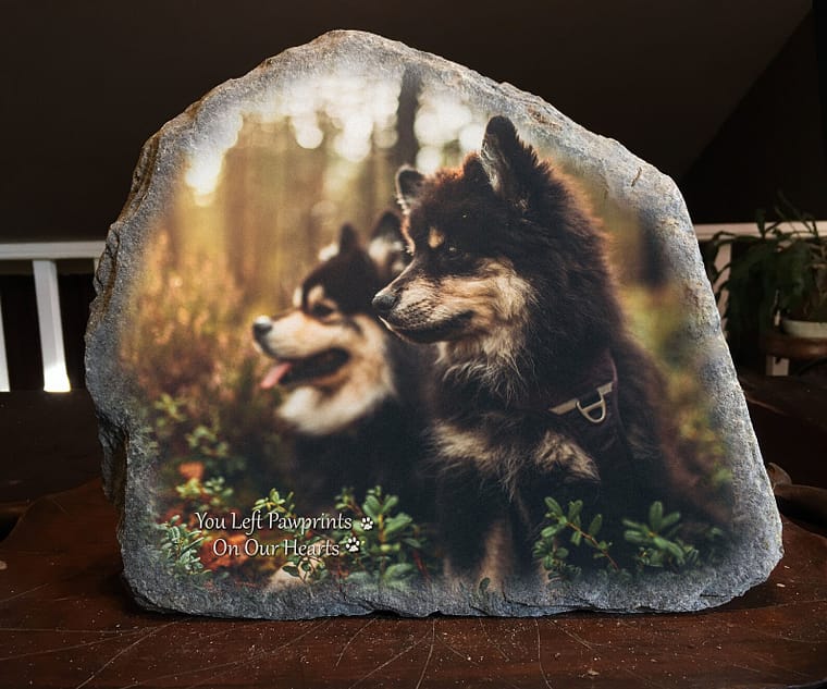 pet memorial rock