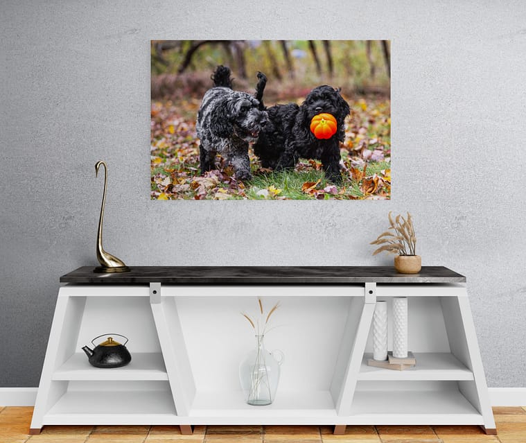 floatmount artwork of two cockapoo puppies playing during a photoshoot