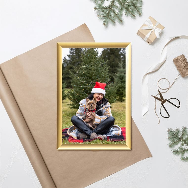 Christmas mini session artwork