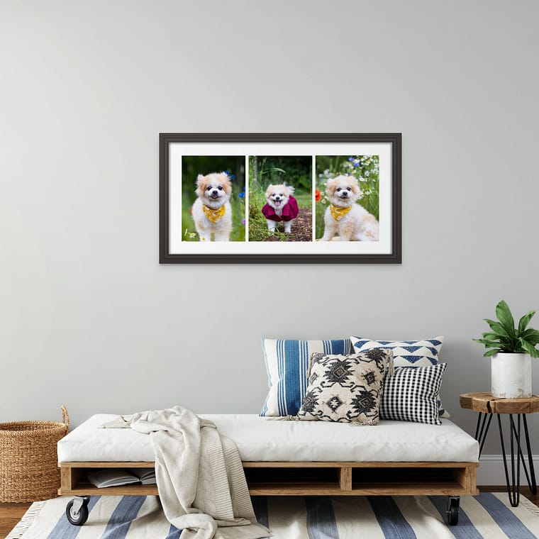 a pet portrait artwork