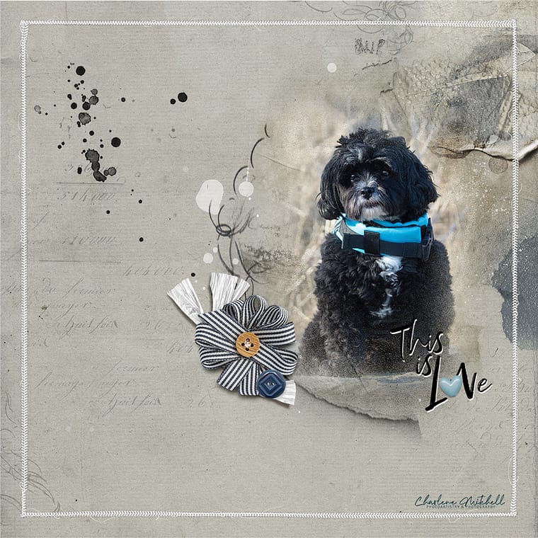 pet memorial artwork