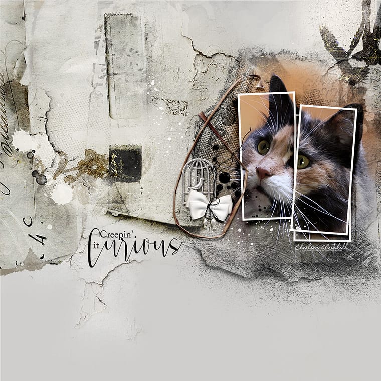 Pet memorial artwork.