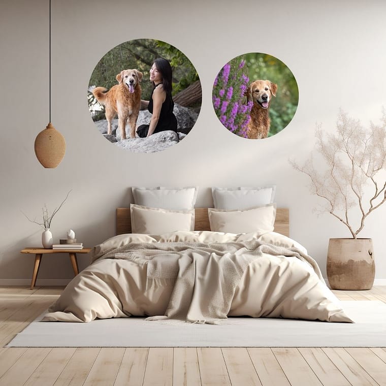 circle metal print by canovas photography.