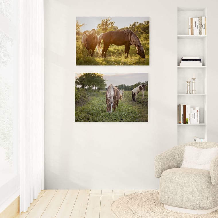 horse portraits turned into artwork