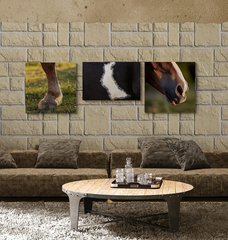 equine photography artwork