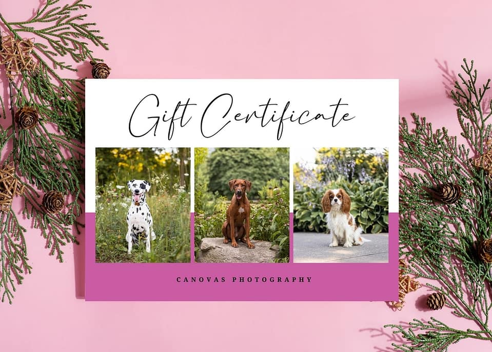 Canovas Photography Gift Certificate